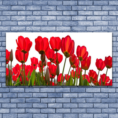 Quadro canvas Flores na Parede