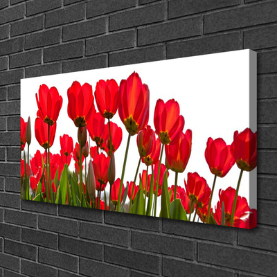 Quadro canvas Flores na Parede