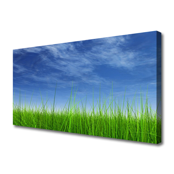 Quadro em tela Planta Natural Sky Grass