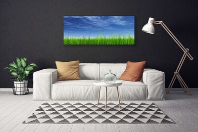 Quadro em tela Planta Natural Sky Grass