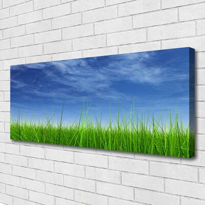 Quadro em tela Planta Natural Sky Grass