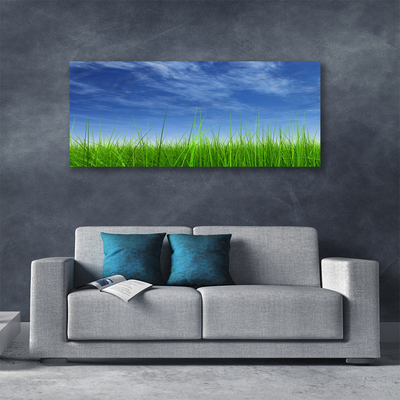 Quadro em tela Planta Natural Sky Grass