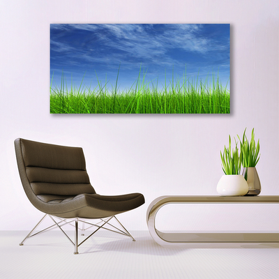 Quadro em tela Planta Natural Sky Grass