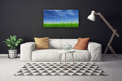 Quadro em tela Planta Natural Sky Grass