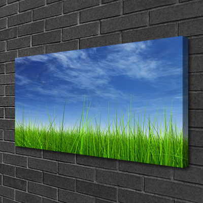 Quadro em tela Planta Natural Sky Grass