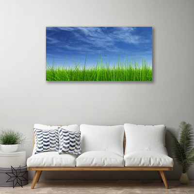 Quadro em tela Planta Natural Sky Grass