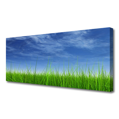 Quadro em tela Planta Natural Sky Grass