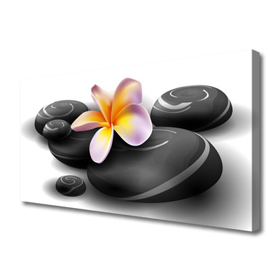 Quadro em tela Pedras de flores Natureza
