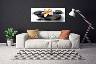 Quadro em tela Pedras de flores Natureza