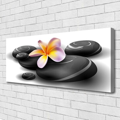 Quadro em tela Pedras de flores Natureza