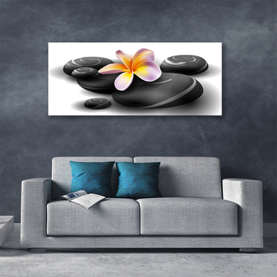 Quadro em tela Pedras de flores Natureza