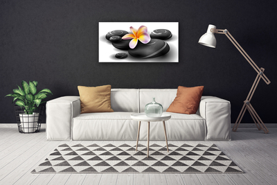 Quadro em tela Pedras de flores Natureza