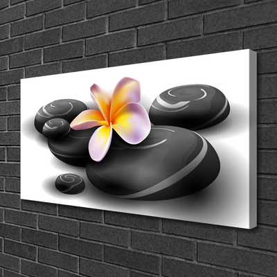 Quadro em tela Pedras de flores Natureza