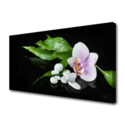 Quadro canvas Pedras de flores Folhas