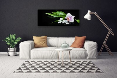 Quadro canvas Pedras de flores Folhas