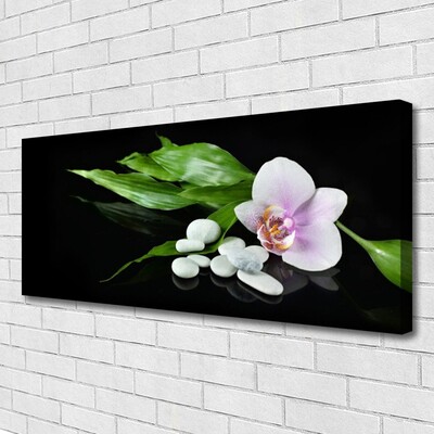 Quadro canvas Pedras de flores Folhas