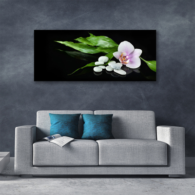 Quadro canvas Pedras de flores Folhas
