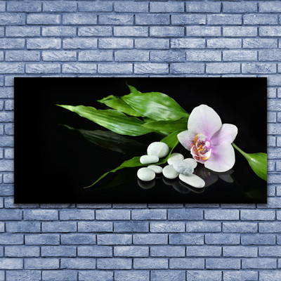 Quadro canvas Pedras de flores Folhas