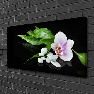 Quadro canvas Pedras de flores Folhas