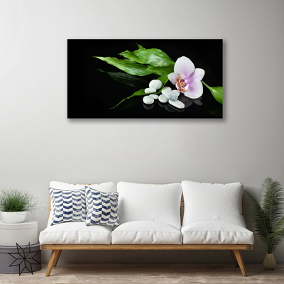 Quadro canvas Pedras de flores Folhas