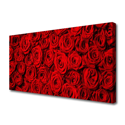 Quadro canvas Rosas na Parede