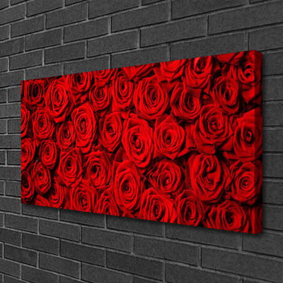 Quadro canvas Rosas na Parede
