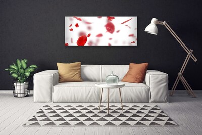 Quadro em tela Pétalas de Rosa Natureza