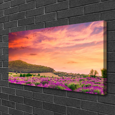 Quadro em tela Paisagem de flores do prado