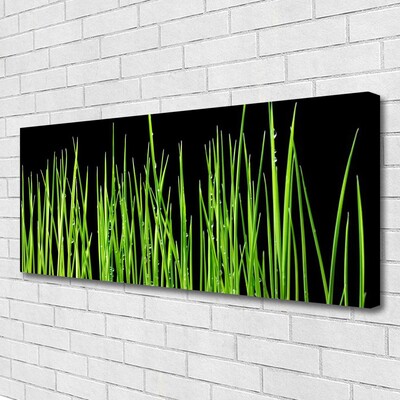 Quadro canvas Planta de grama