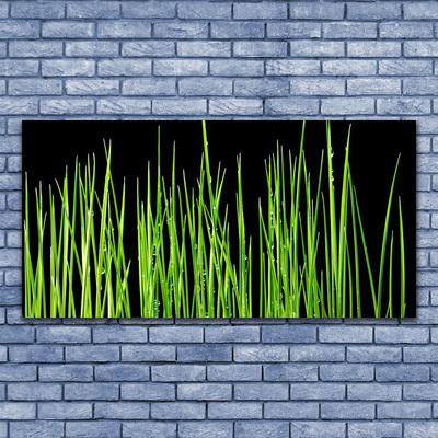 Quadro canvas Planta de grama