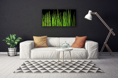 Quadro canvas Planta de grama