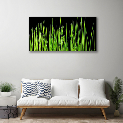 Quadro canvas Planta de grama