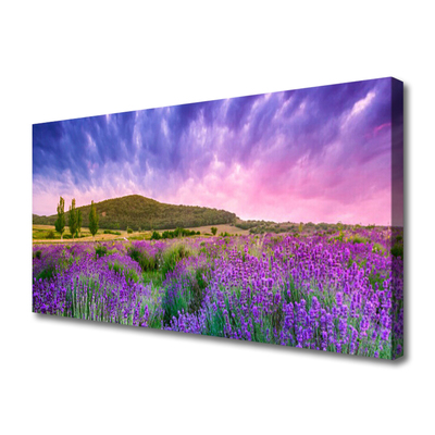 Quadro canvas Flores do Prado Montanhas Natureza
