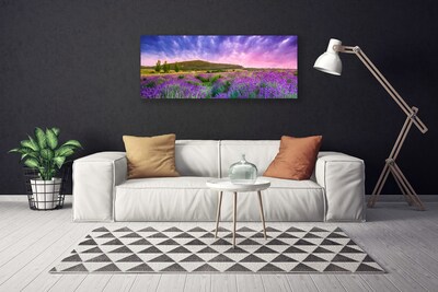 Quadro canvas Flores do Prado Montanhas Natureza