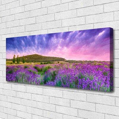 Quadro canvas Flores do Prado Montanhas Natureza