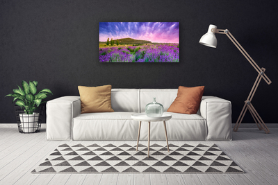 Quadro canvas Flores do Prado Montanhas Natureza