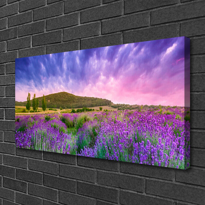 Quadro canvas Flores do Prado Montanhas Natureza