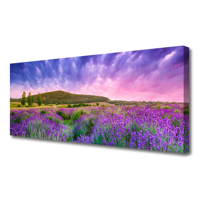 Quadro canvas Flores do Prado Montanhas Natureza