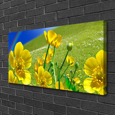 Quadro canvas Flores do Prado Arco-Íris Natureza