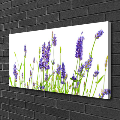 Quadro em tela Flores na Parede