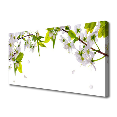 Quadro canvas Natura Flakes