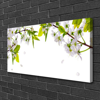 Quadro canvas Natura Flakes