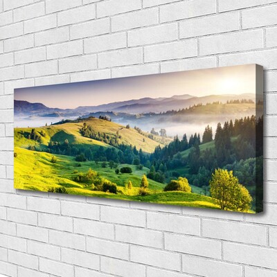 Quadro em tela Montanha Campo Nevoeiro Natureza