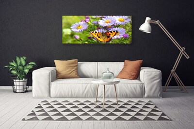 Quadro canvas Flores Borboleta Planta Natureza