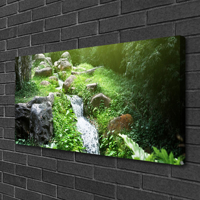 Quadro canvas Grama de riacho Natureza Planta