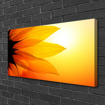 Quadro em tela Flor Planta Natureza