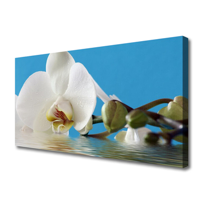 Quadro em tela Flor Planta Natureza