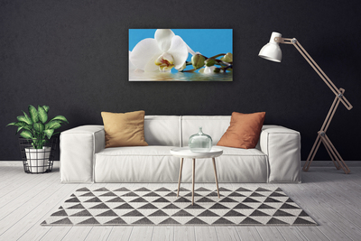 Quadro em tela Flor Planta Natureza