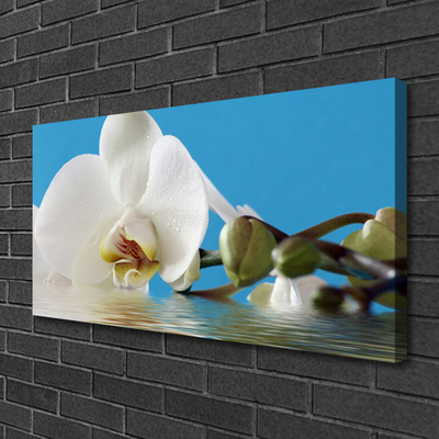 Quadro em tela Flor Planta Natureza