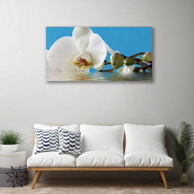 Quadro em tela Flor Planta Natureza